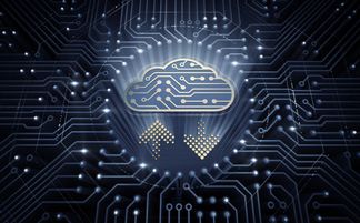 Radware云端原生數(shù)據(jù)泄露事件解析 人工智能應(yīng)用軟件開(kāi)發(fā)的警鐘