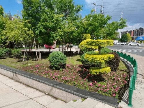 香坊區(qū)七大公園實(shí)施拆圍透綠改造 建設(shè)精品工程 構(gòu)建綠色生態(tài)城區(qū)